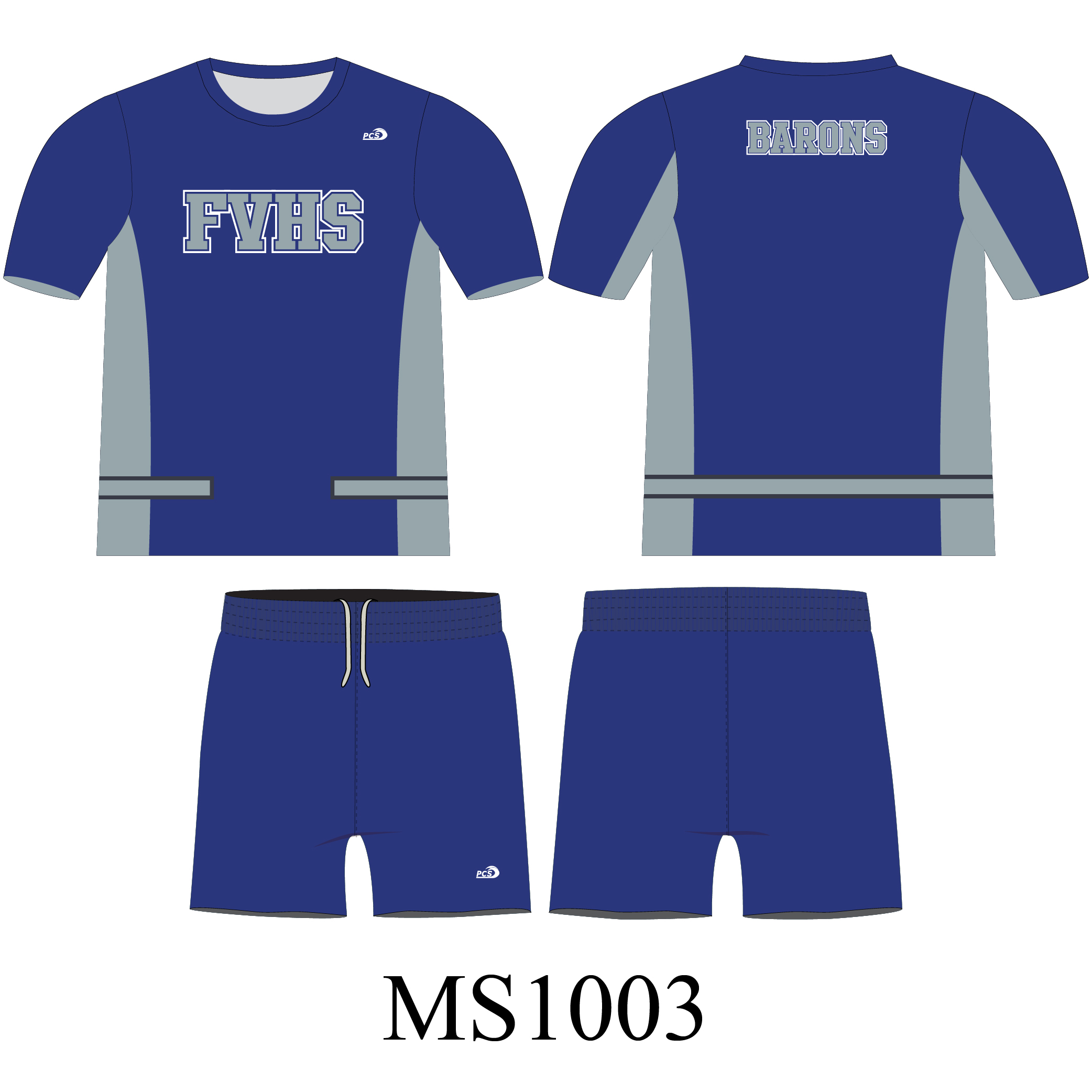MS1003