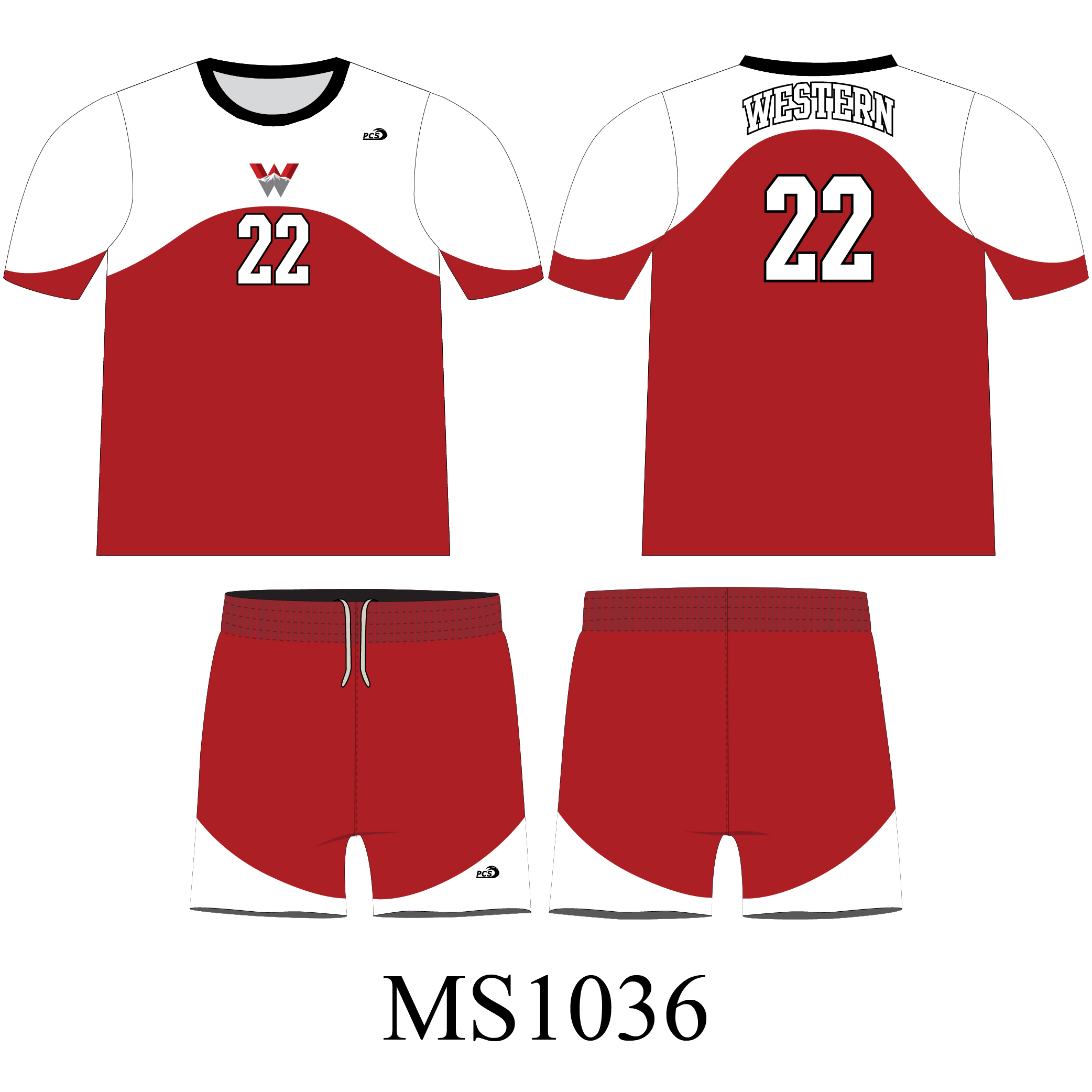MS1036