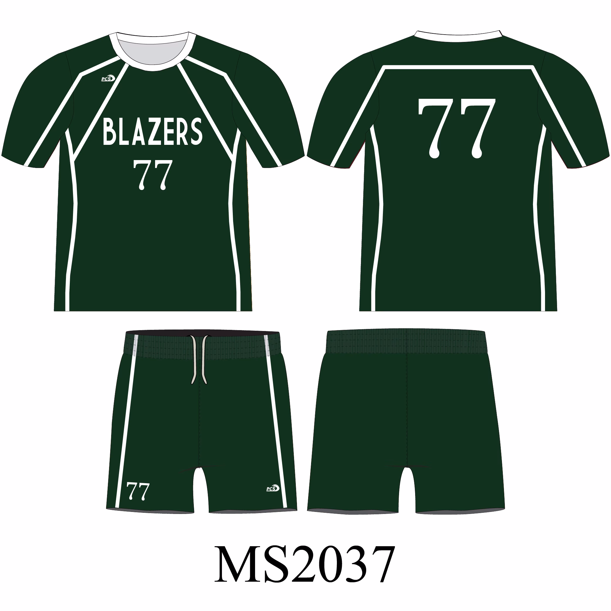 MS2037