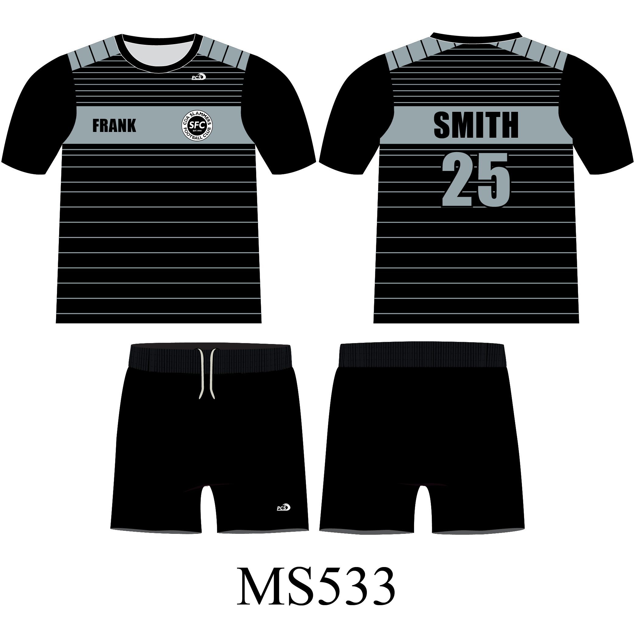 MS533